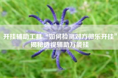 开挂辅助工具“如何检测对方微乐开挂”揭秘透视辅助万能挂