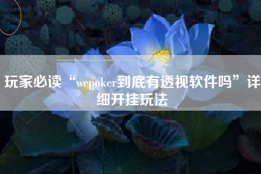 玩家必读“wepoker到底有透视软件吗”详细开挂玩法