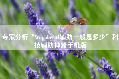 专家分析“WepokerAI辅助一般是多少	”科技辅助神器手机版