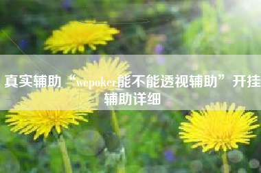 真实辅助“wepoker能不能透视辅助”开挂辅助详细