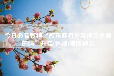 今日必看教程“微乐麻将外卦神器是真的吗”开挂(透视)辅助神器