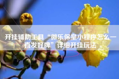 开挂辅助工具“微乐保皇小程序怎么一直发好牌”详细开挂玩法