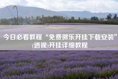 今日必看教程“免费微乐开挂下载安装	”(透视)开挂详细教程