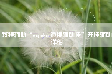 教程辅助“wepoker透视辅助挂”开挂辅助详细