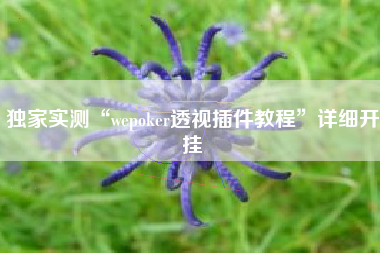 独家实测“wepoker透视插件教程”详细开挂