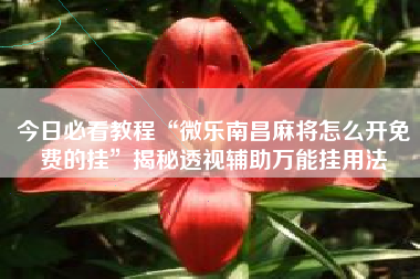 今日必看教程“微乐南昌麻将怎么开免费的挂”揭秘透视辅助万能挂用法