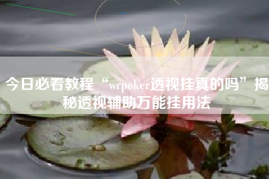 今日必看教程“wrpoker透视挂真的吗”揭秘透视辅助万能挂用法