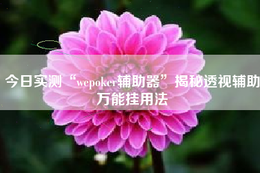 今日实测“wepoker辅助器	”揭秘透视辅助万能挂用法