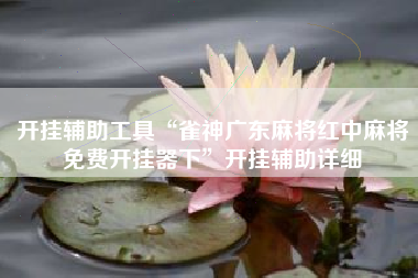 开挂辅助工具“雀神广东麻将红中麻将免费开挂器下”开挂辅助详细