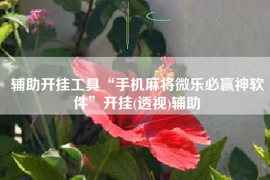 辅助开挂工具“手机麻将微乐必赢神软件	”开挂(透视)辅助