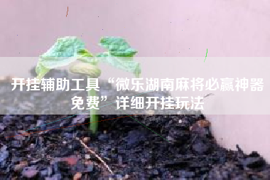 开挂辅助工具“微乐湖南麻将必赢神器免费”详细开挂玩法