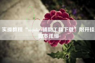 实操教程“aapoker辅助工具下载”附开挂脚本详细