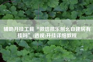 辅助开挂工具“微信微乐刨幺自建房有挂吗	”(透视)开挂详细教程