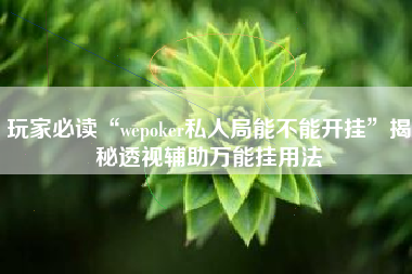 玩家必读“wepoker私人局能不能开挂”揭秘透视辅助万能挂用法