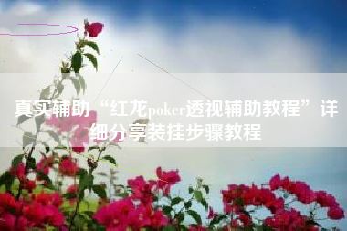 真实辅助“红龙poker透视辅助教程	”详细分享装挂步骤教程