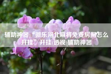 辅助神器“微乐河北麻将免费房间怎么开挂”开挂(透视)辅助神器