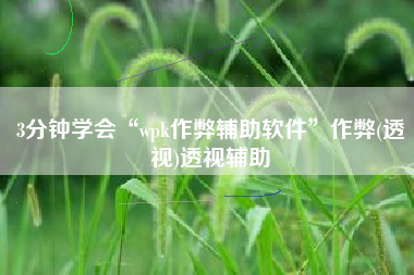 3分钟学会“wpk作弊辅助软件	”作弊(透视)透视辅助