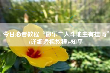 今日必看教程“微乐二人斗地主有挂吗	”(详细透视教程)-知乎