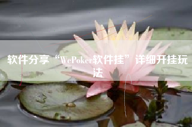 软件分享“WePoker软件挂”详细开挂玩法