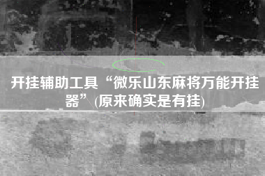 开挂辅助工具“微乐山东麻将万能开挂器	”(原来确实是有挂)