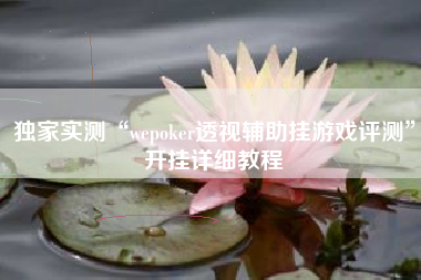 独家实测“wepoker透视辅助挂游戏评测”开挂详细教程