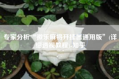 专家分析“微乐麻将开挂器通用版”(详细透视教程)-知乎