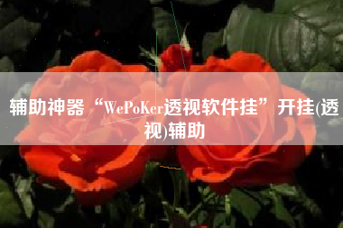 辅助神器“WePoKer透视软件挂	”开挂(透视)辅助
