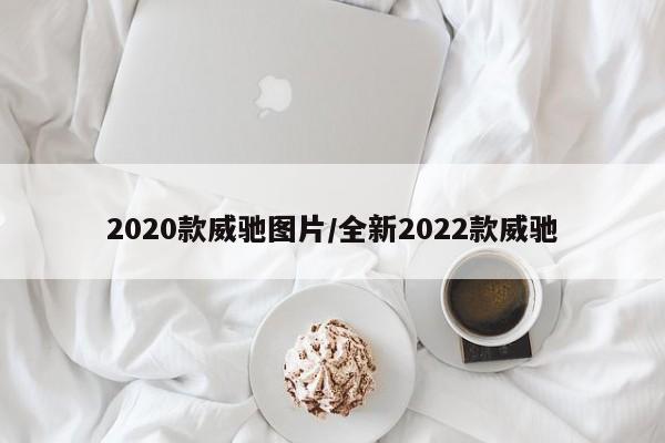 2020款威驰图片/全新2022款威驰