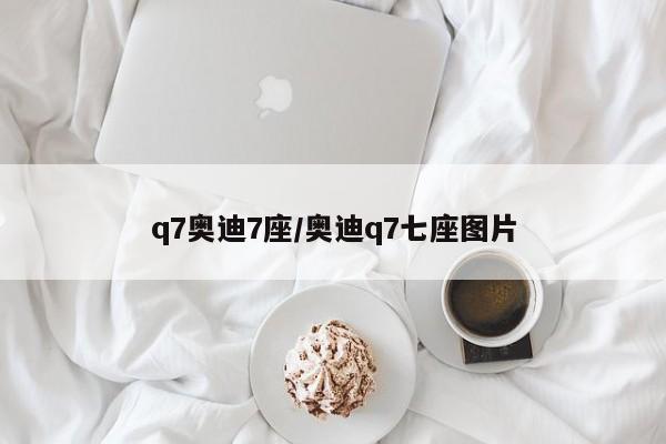 q7奥迪7座/奥迪q7七座图片