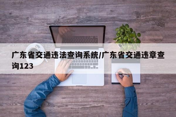广东省交通违法查询系统/广东省交通违章查询123