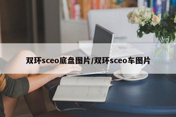 双环sceo底盘图片/双环sceo车图片